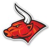 2 x 30cm/300mm Red Bull WINDOW CLING STICKER Car Van