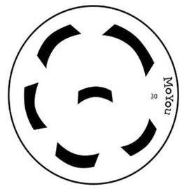 MoYou Image Plate Number 30