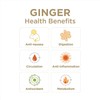 GIN GINS Sweet Ginger Gummies – Natural Fresh Ginger Candy