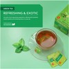 Wissotzky Nana Mint Green Tea, 20 Tea Bags | Antioxidant