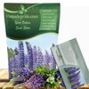 Outsidepride Wild Blue Perennial Lupine Seeds - 500 Pcs. Self-Sowing,