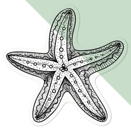 'Starfish' Clear Sticker Decal – Waterproof Film for Windows, Cars, Walls & Crafts, Medium (100mm) (DC00118285)