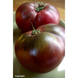 Ohio Heirloom Seeds Cherokee Purple Heirloom Tomato Seeds- 75+ Seeds by Ohio Heirloom Seeds