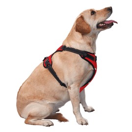 Flag of Turkey Premium Dog Harness for Small, Medium, and Large Dogs – Durable, No Pull with Reflective Straps and Quick Release BucklesX-Large