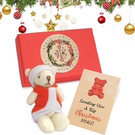 COLEESON Little Pocket Bear Hug, Christmas Teddy Bear in Box, Worry Bear, Stuffed Animad Bear Doll, Christmas Stocking Filler, Get Well Soon Gifts for Women