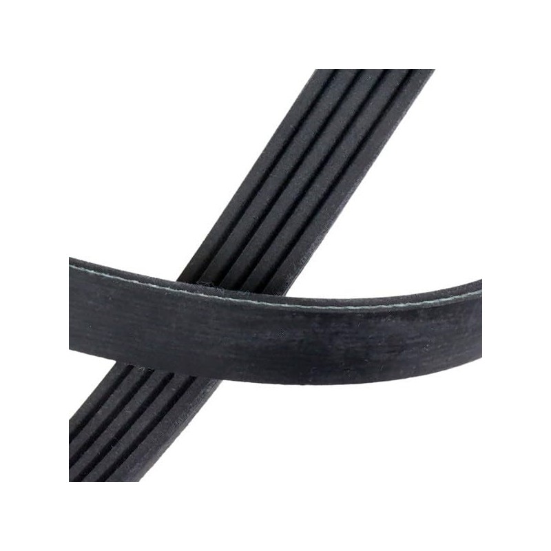 febi bilstein 28886 V-Ribbed Belt, Number of Ribs 5, Pack