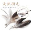 SONGWAY Cat Toy, Cat Feathers, Insects, Fluffy, Natural Feathers, Primary