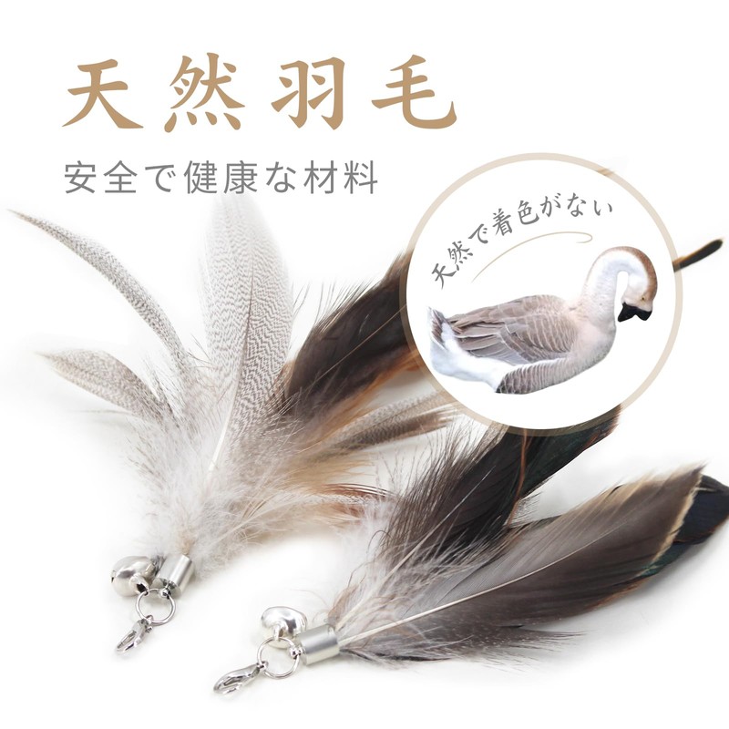 SONGWAY Cat Toy, Cat Feathers, Insects, Fluffy, Natural Feathers, Primary