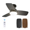 Amico Ceiling Fans with Lights, 30 inch Low Profile Ceiling