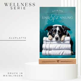 siviwonder Dog Sign Border Collie Relaxation Dog Sign Decorative Bathroom Wooden Stand Dog Gift Idea Funny Saying Dog Motif Aluminium Weatherproof Dog Sign