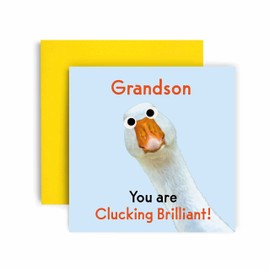 Huxters Birthday Cards for Men - You are Clucking Brilliant Grandson Birthday Card for him - Funny Fathers Day Card for Grandson Fun Happy Birthday - 14.8cm (Grandson)