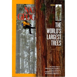 THE NATIONAL GEOGRAPHIC Magazine December 2012 Including The Worlds Largest Trees