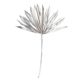 Vickerman 720103-13.75-19.5" Met Champ Palm Sun Spr 12/bg (H7PPS225) Dried and Preserved Palms