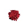Confetti (Red, 250 grams)