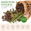 GOGIFTGO Aceite De Cyperus Rotundus Aceite De Cyperus Aceite De
