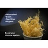Dried Sea Moss (16 Oz (pack of one)) - Caribbean