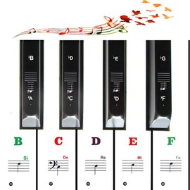 Color Piano Stickers for Kids Beginners 49/54/61/88 Key Keyboards Helps Beginners Know Where Keys Are and Finger Placement Too - Easy to Paste Without Cutting