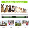 DogStop Dog Training Collar Electric Dog Collar with 4 Training