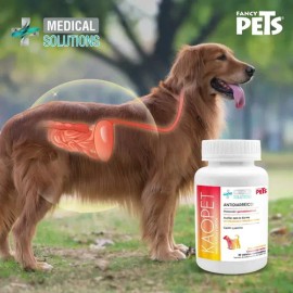 Kaopet Antidiarreico Protección Gastrointestinal 30 Tabletas