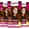Palette Intensive Cream Colouration 6-70 Copper Mahogany (3 x 115