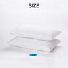 ANT-HOME 20"x20" Pillow Inserts Soft Feather Pillow Set of 2