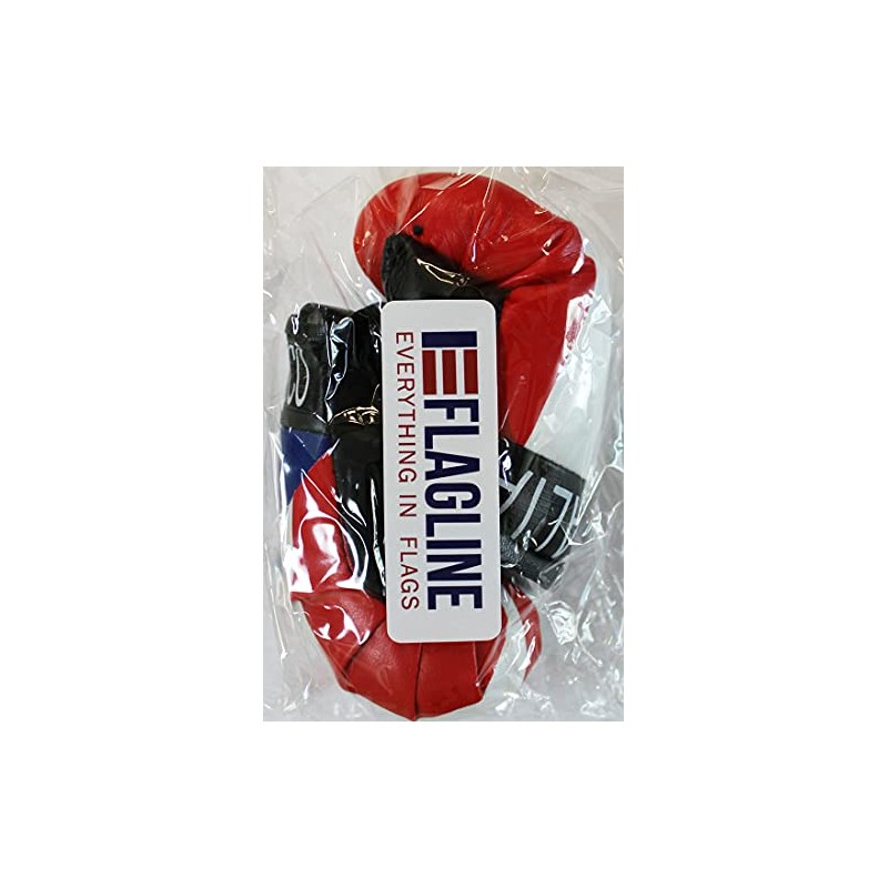 Flagline Puerto Rico and Italy - Mini Boxing Gloves