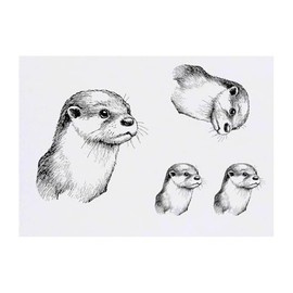 4 x 'Otter Portrait Side View' Temporary Tattoos - Water Resistant, Skin-Safe, Non-Toxic Transfers, Mixed Sizes (TO00086608)