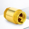 TAILONZ PNEUMATIC 2PCS Brass Check Valve 3/4" Female Thread, Backflow
