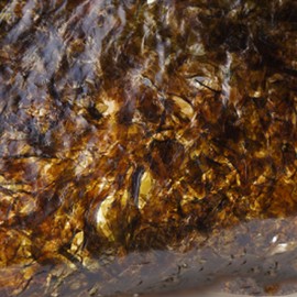 JKC Wando Gimbap Seaweed (Traditional Staking Type) 20 Sheets Thick and Dense from Pristine Waters, Tears Well When Making Gimbap