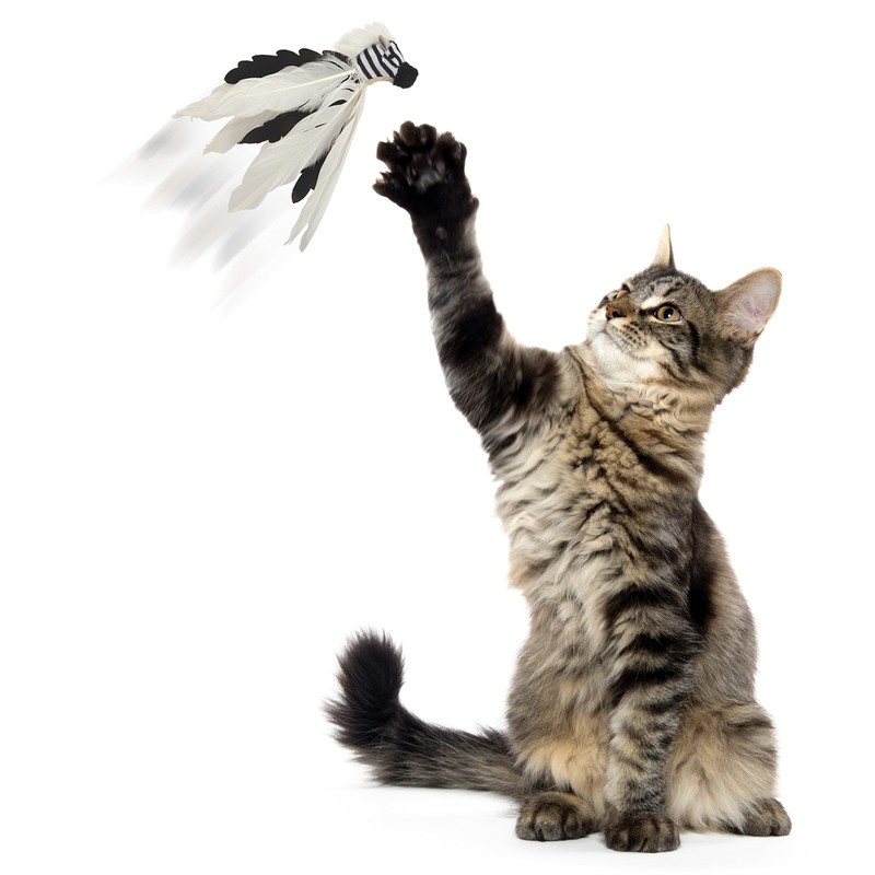 SmartyKat Instincts HappyNip Zingy Zebra Feathered Toss & Chase Interactive