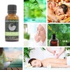 Fennel (Sweet) Essential Aromatherapy Oil 30ml