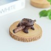 Classic Handmade Percussion Instruments Wooden Frog 2.3-2.5 Inch Wooden Frog