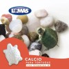 Calcio Para Tortugas De Agua Con Vitamina A Acuario Lomas