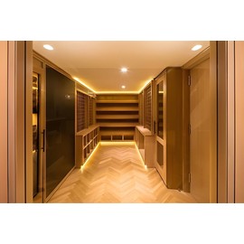 CH NO Heat in this LED Closet & Wardrobe light kit - Walk in Closet Organizer LED