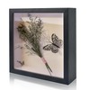 OctBird 8x8 Shadow Box Frame, Black Shadow Box Display Case,