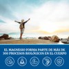 Glicinato Magnesio 500 Alta Absorción Vegano 120 Cápsulas Mejora Sueño