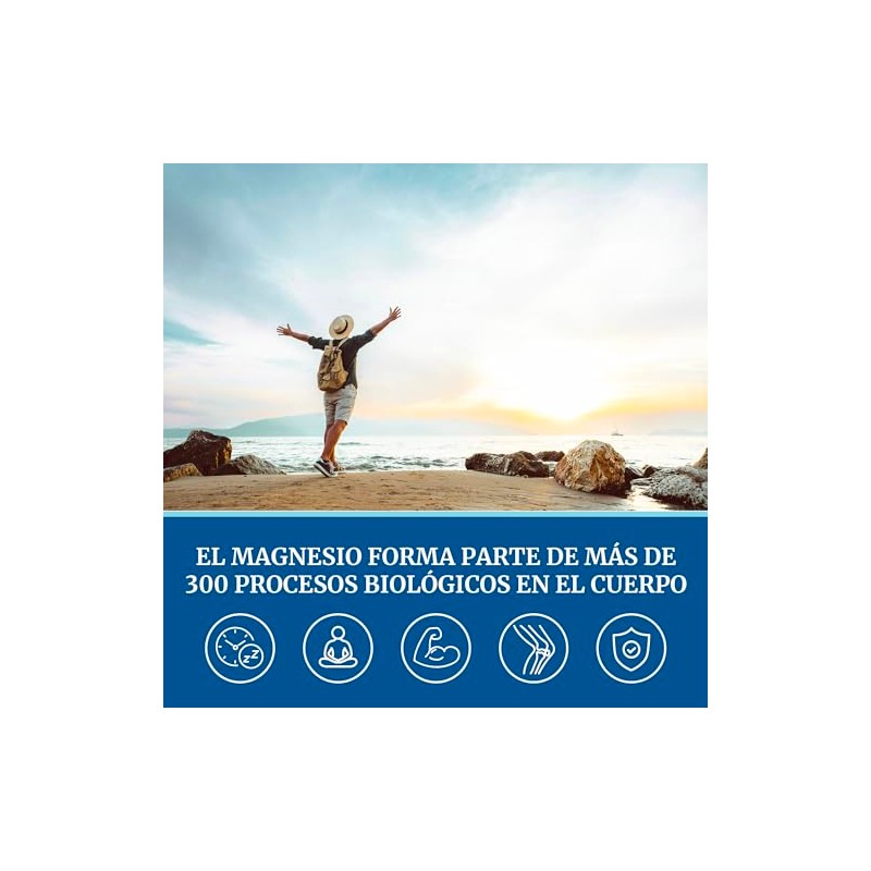 Glicinato Magnesio 500 Alta Absorción Vegano 120 Cápsulas Mejora Sueño