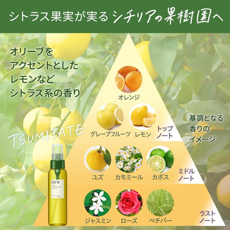 DEW CS uruOi Retreat Fog Water