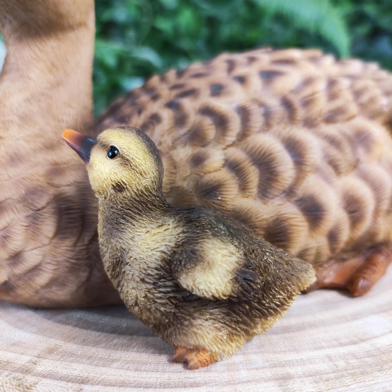 Vivid Arts - Mother Duck & Ducklings -