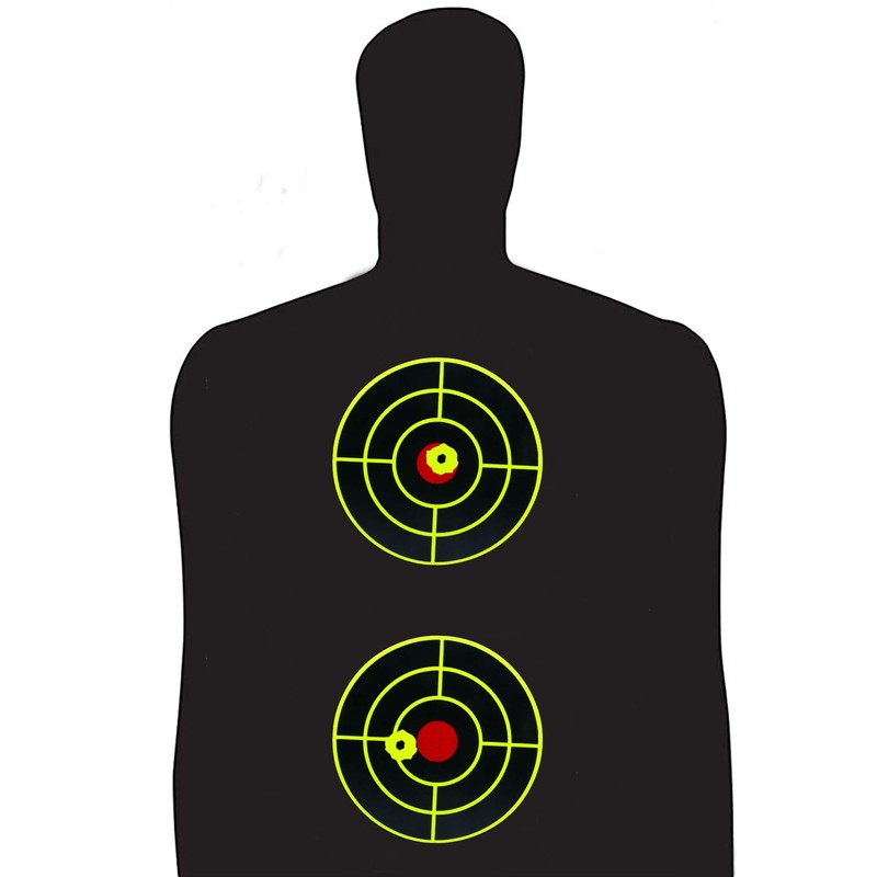 Aleplay 4" Splatter Shooting Targets Stickers Bullseye, Reactive Targets for