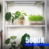 Barrina Grow Lights for Indoor Plants, 5000K White Full Spectrum