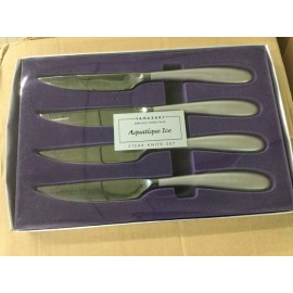 Yamazaki (4) Yamazaki AQUATIQUE ICE STAINLESS Steak Knife set RETAIL $67.00 SAVE BIG