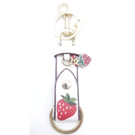 Coach C1018-IMCAH Women's Keychain