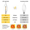 FANNIS 6 Pack B10 Flame Tip Filament LED Bulb, 2W
