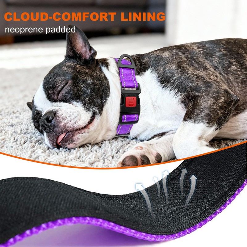 Taglory Reflective Dog Collar with Safety Locking Buckle, Adjustable Nylon