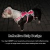 Huntboo Escape Proof Dog Harness, Escape Artist Harness, Reflective Harness