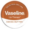 Lip Vaseline Cocoa X 12 X 20g