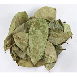NY Spice Shop Soursop Leaf - 4 Ounce Dried Sour Sop Graviola Leaves - Soursop Graviola Leaves for Tea - Fresh Soursop Leaves - Whole Dried Guanabana Leaves