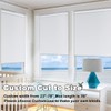Persilux 100% Blackout Roller Shades Cordless Shades & Blinds for