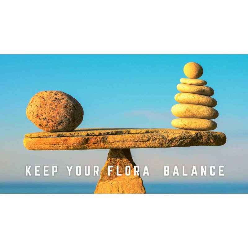 OLANTA TRADE SOLUTION CANDIDA PRO COMPLEX Ultimate Solution for Digestive